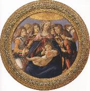 Sandro Botticelli Madonna and Child with six Angels or Madonna of the Pomegranate (mk36) USA oil painting reproduction